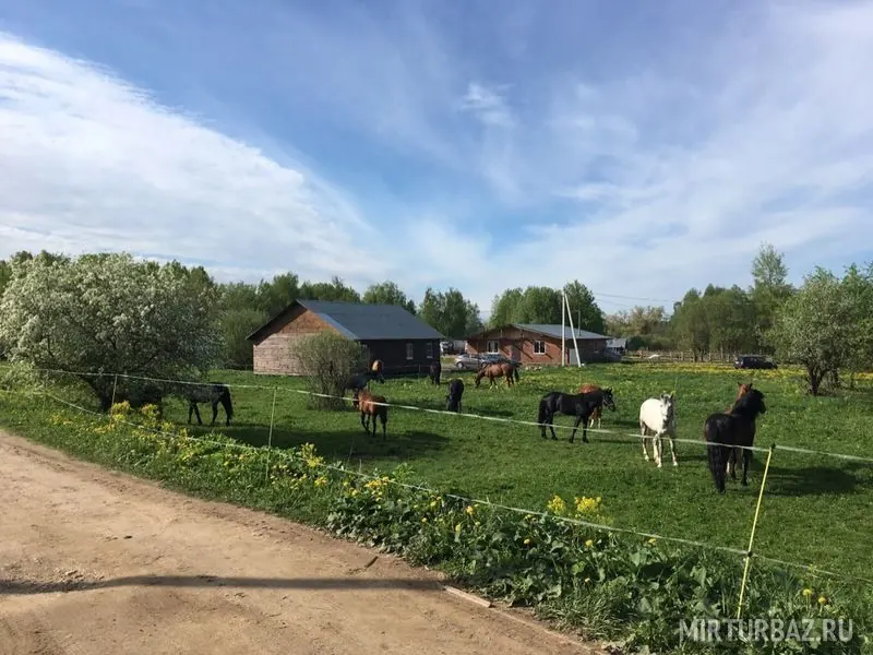 Конно-туристическая база Храброво