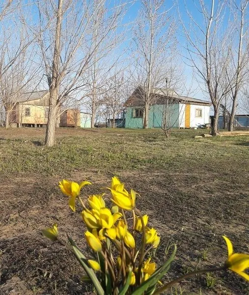 База отдыха Ахтуба-клуб — фото 1