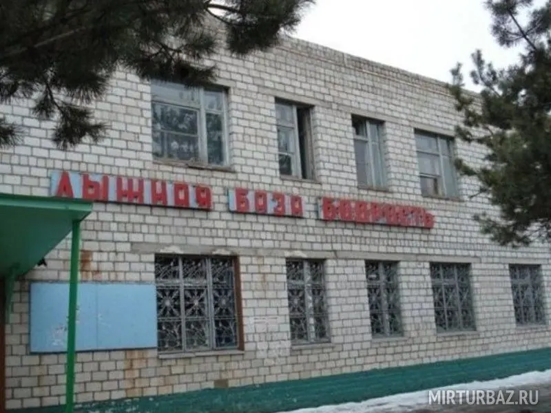 База отдыха Бодрость