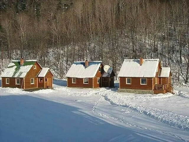 База отдыха Залесье — фото 1