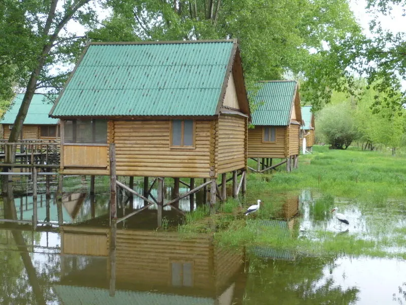 Рыболовная база Прокоста — фото 1