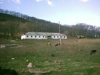 База отдыха Экоцентр Глазковка — фото 1
