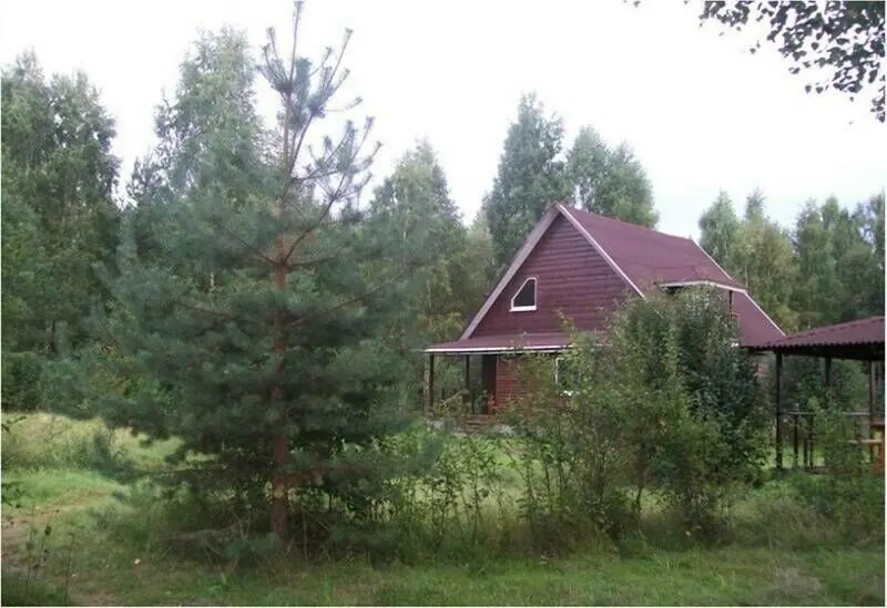 Рыболовная база Дальний кордон