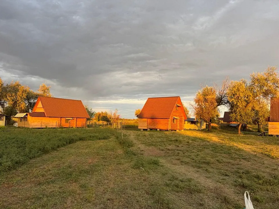 Дом Басарга