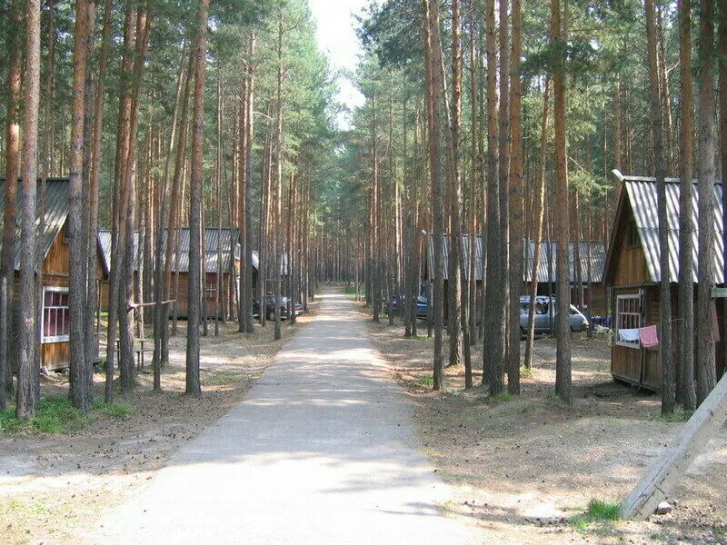 База отдыха Обской ветерок