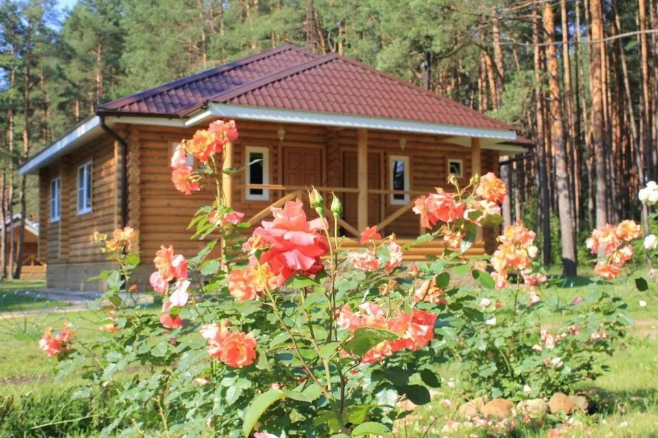 База отдыха Княжья Речка — фото 1