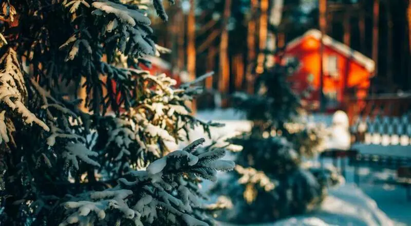 База отдыха Лесная Быль