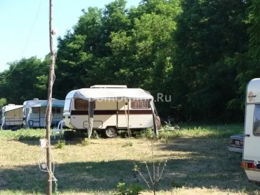 Кемпинг Веселая селедка
