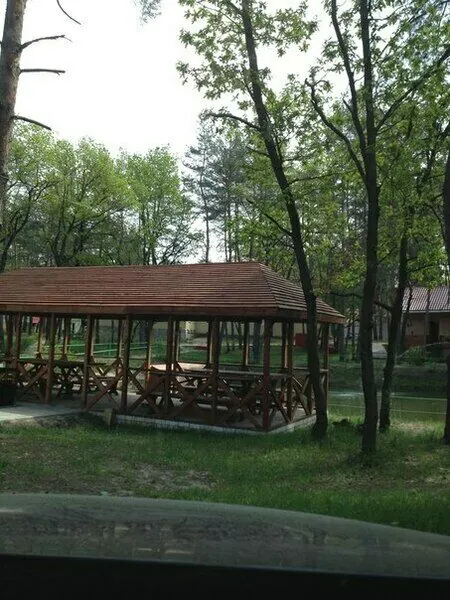 База отдыха Лесовичок