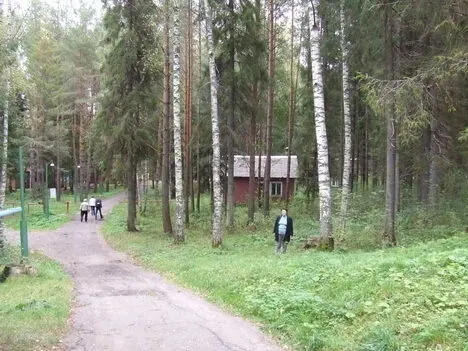 База отдыха Лесной родник