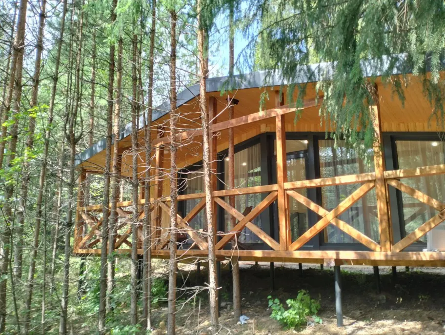 Речной берег