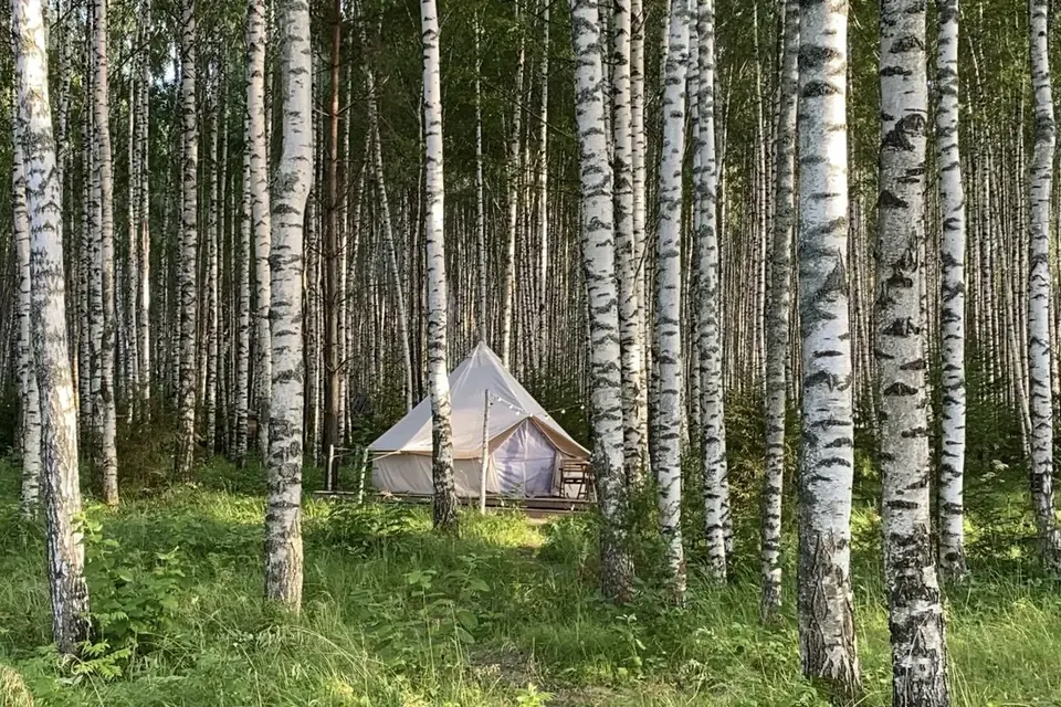 Берег Грифона