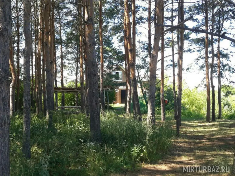 База отдыха Лесное озеро — фото 1