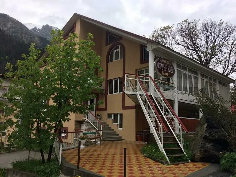 Гостиница Старый клён