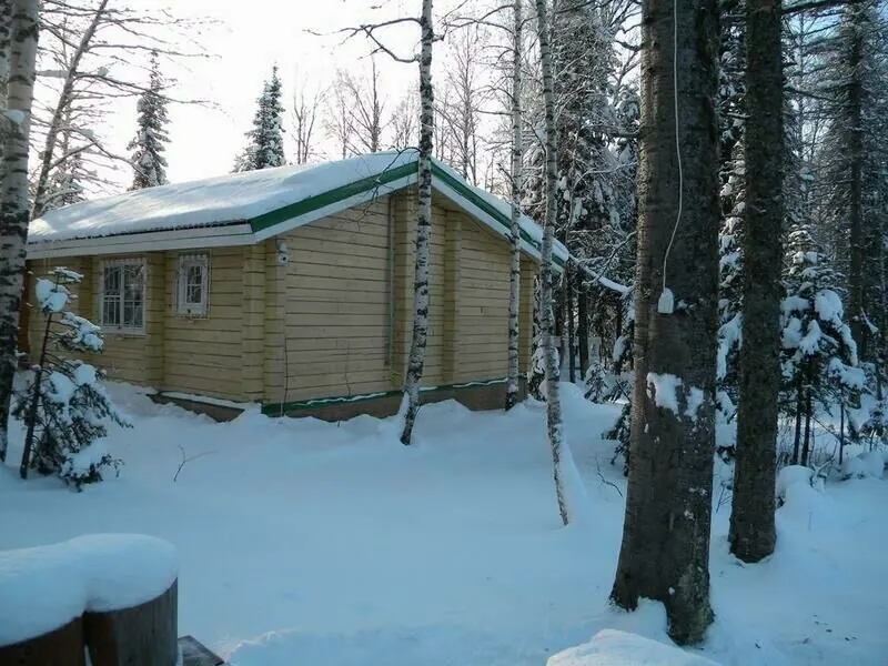 Шале Taiga House