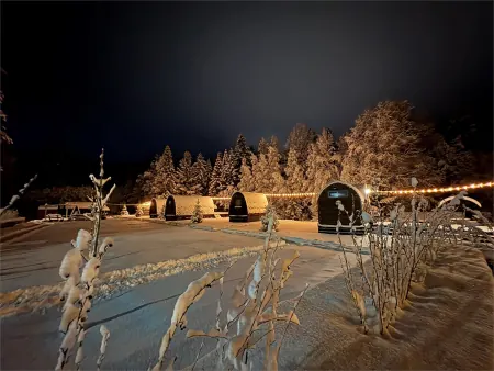 Домабочки в Карелии