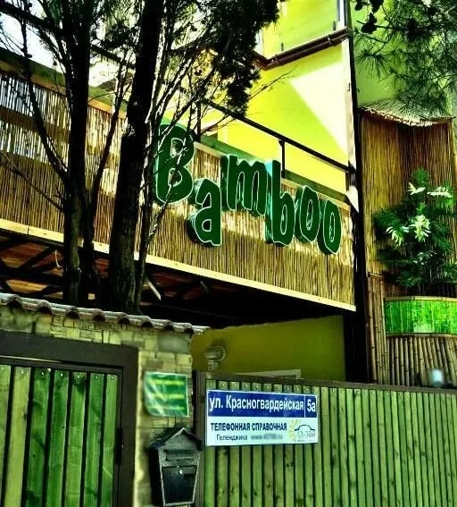 Гостевой дом Бамбук — фото 1
