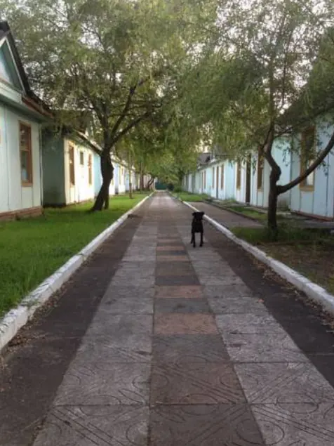 База отдыха Тур-сервис