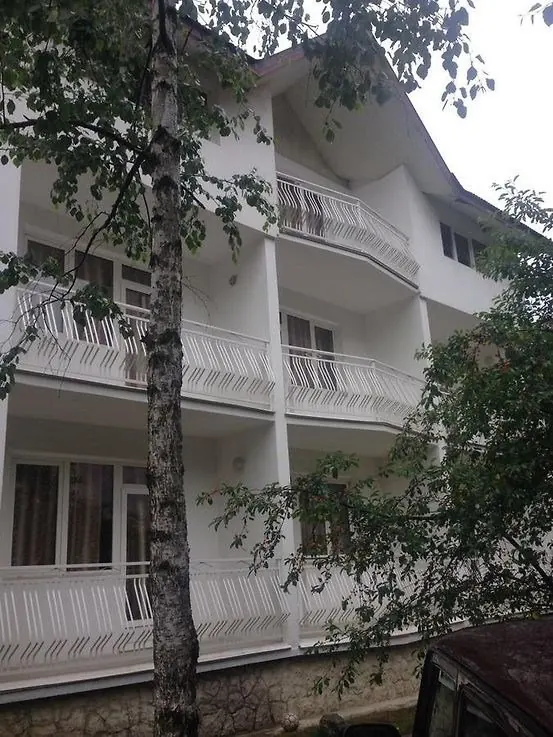 Отель Докса — фото 1