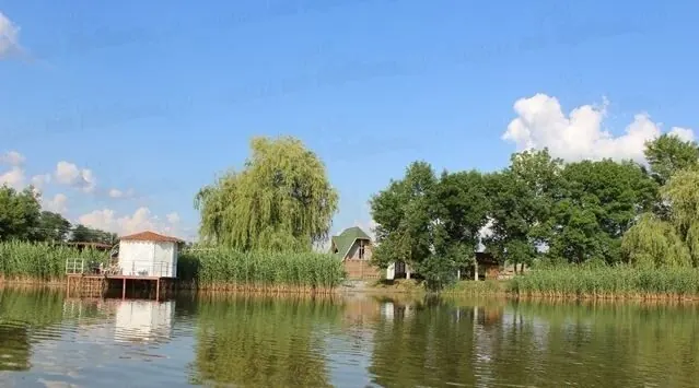 База отдыха Разгуляй