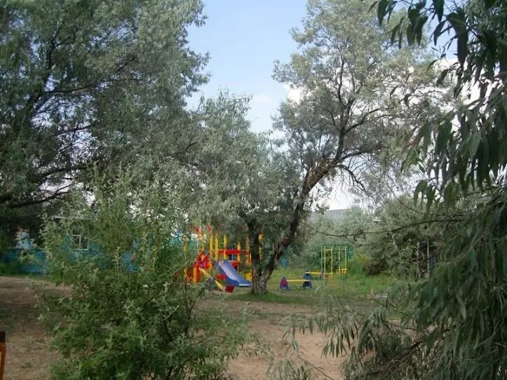 База отдыха Русалочка