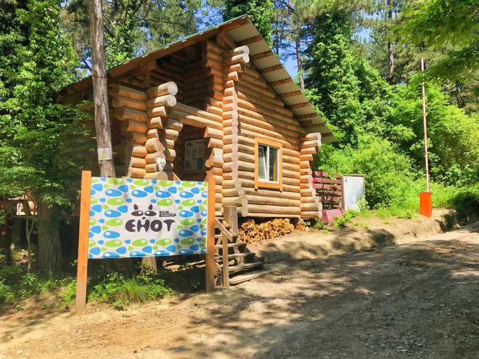 Кемпинг Енот-Архипо-Осиповка — фото 1