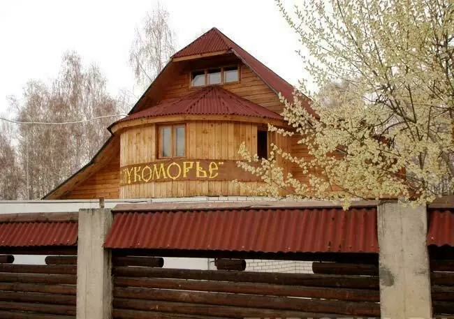 База отдыха Лукоморье