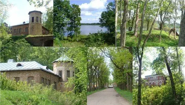 База отдыха Заполье — фото 1