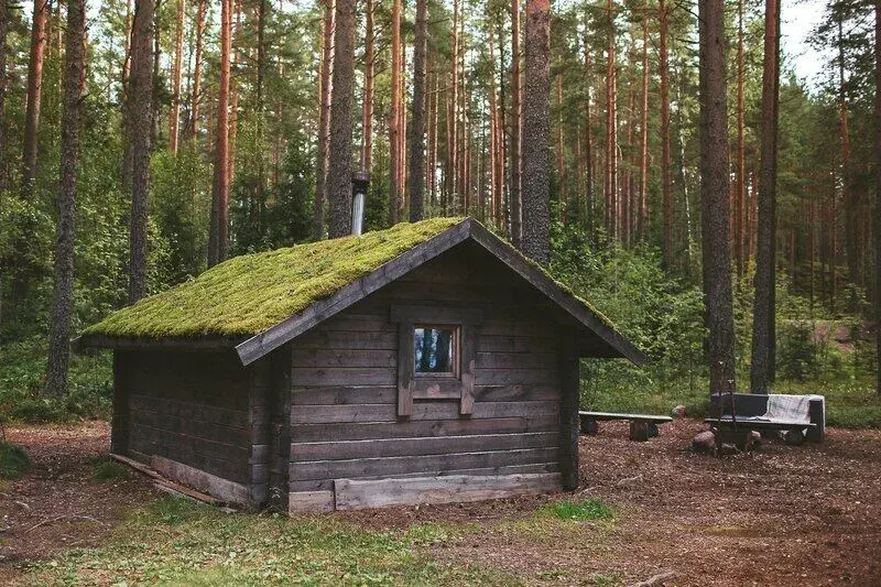 Эко-отель Лес