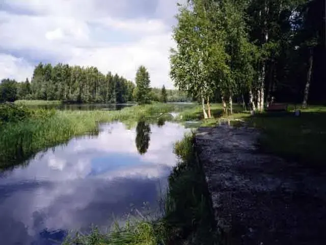 База отдыха Рябинка — фото 1